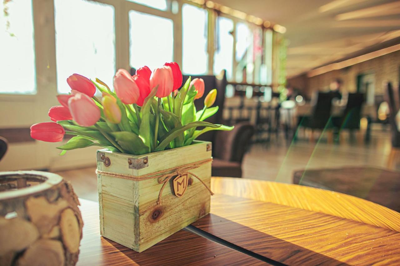 Martoni Resort & Restaurant Szigetszentmárton エクステリア 写真